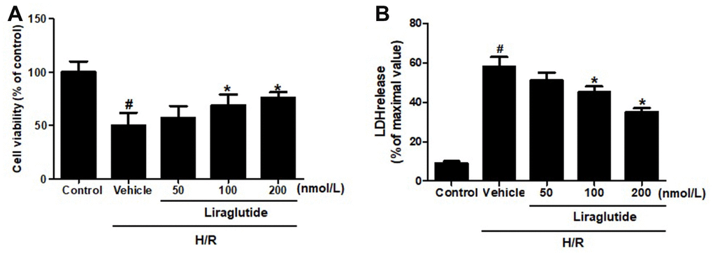 Effect of liraglutide on H/R-induced cytotoxicity. H9C2 cells were pretreated with liraglutide in different concentrations (50 nmol/L, 100 nmol/L, 200 nmol/L) 30 min before H/R treatment, and the cell viability (A) and LDH release (B) were assayed 24 h later.