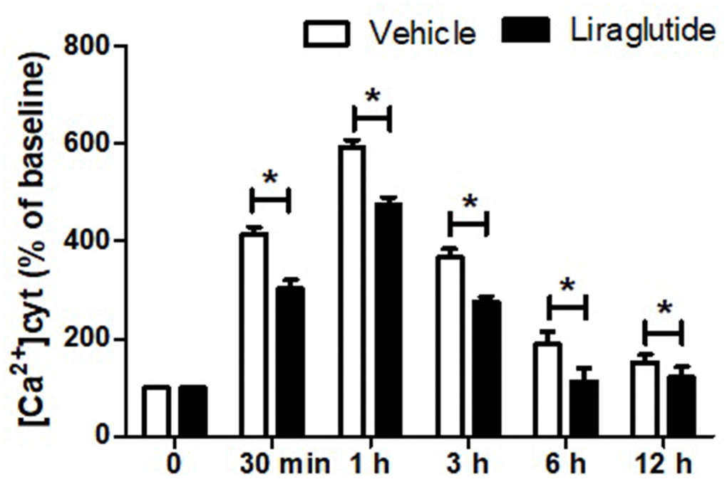 Effect of liraglutide on H/R-induced intracellular calcium overload. H9C2 cells were pretreated with 200 nmol/L liraglutide or vehicle 30 min before H/R treatment, and the intracellular Ca2+ concentration ([Ca2+]cy) was measure up to 12 h.
