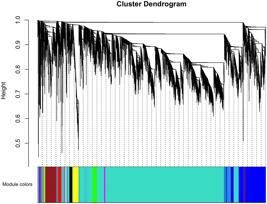 Cluster dendrogram of gene coexpression and functional modules. Heatmap plot of the topological overlap matrix (TOM) supplemented by hierarchical clustering dendrograms and module colors. A total of 13 distinct co-expression modules were identified containing tan to turquoise genes. Another 30 uncorrelated genes were assigned to a grey module that was not included in subsequent analyses.