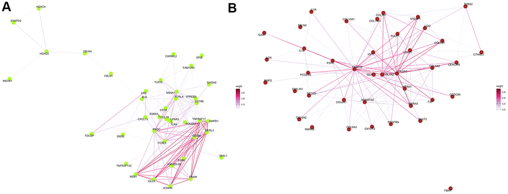 Protein–protein interaction network analysis. Visualization of the network connections among the most highly connected genes within the green-yellow (A) and brown (B) modules. Edge weights represent similarity between nodes.