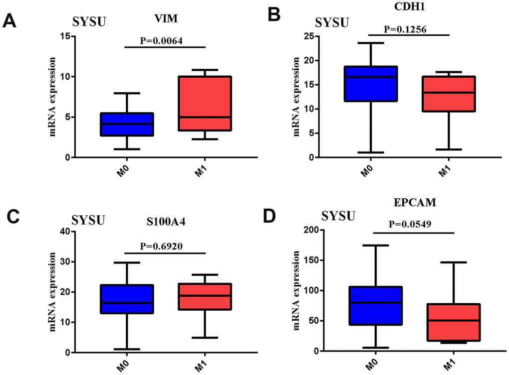 (A–D) VIM, CDH1, S100A4, EPCAM mRNA expression in GC tissues of SYSU Cohort patient of Distant metastases.