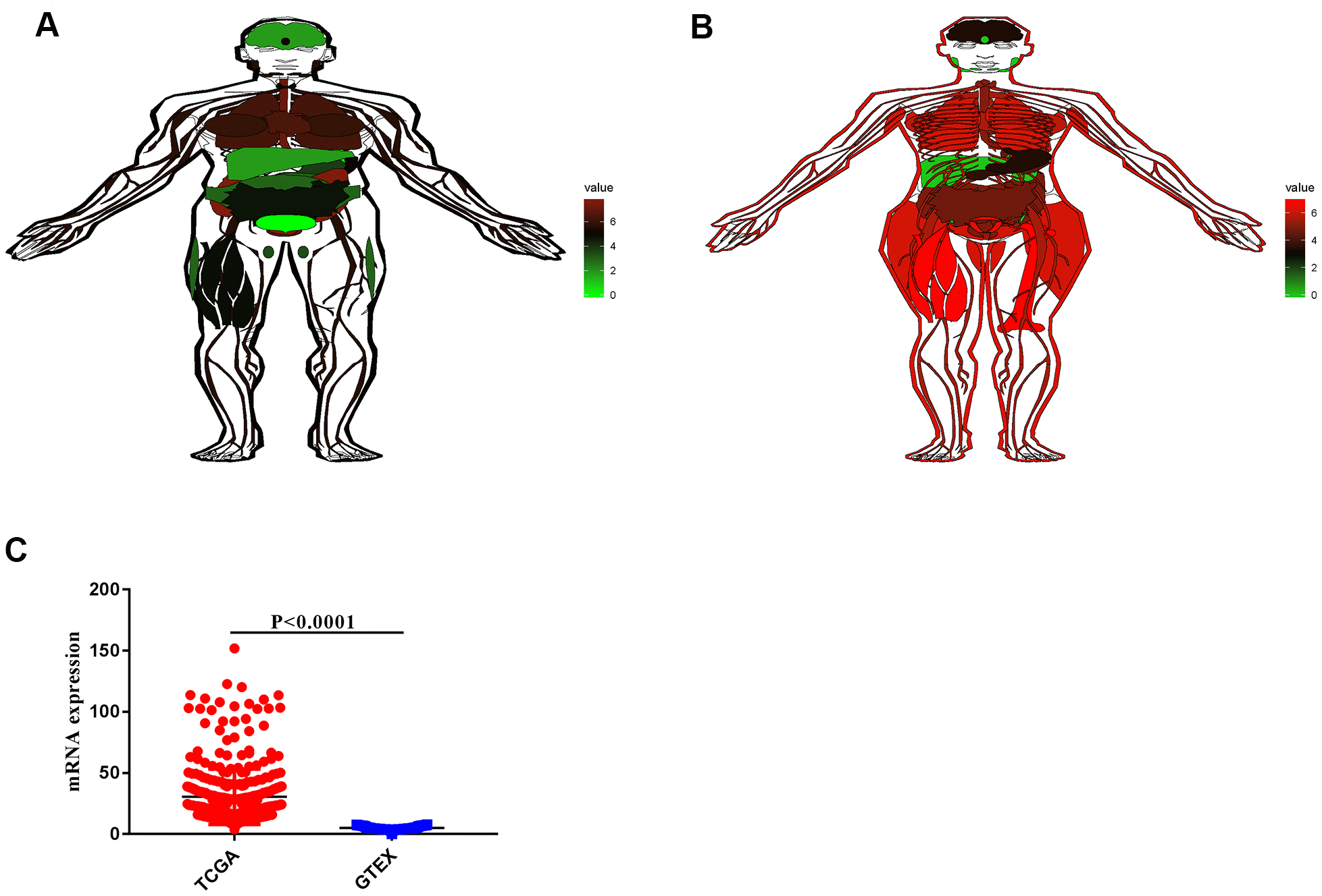 class="figure-viewer-img"