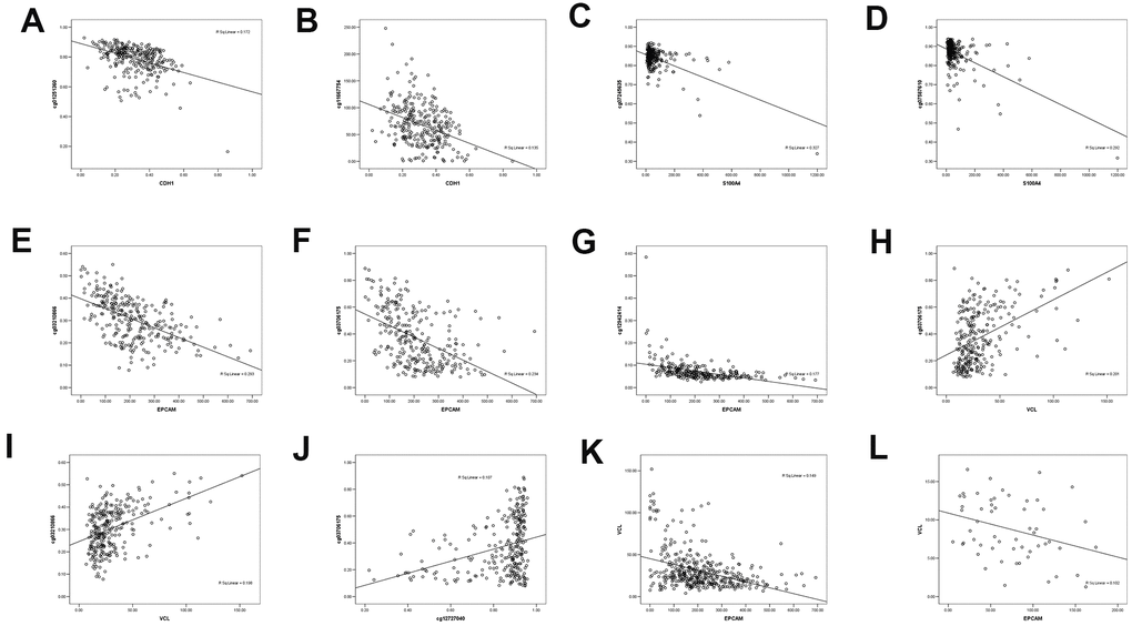 The correlation between methylated sites and gene expression in gastric cancer patients. (A) Negative linear correlation between CDH1 and CDH1 DNA methylation site cg01251360. (B) Negative linear correlation between CDH1 and CDH1 DNA methylation site cg11667754. (C) Negative linear correlation between S100A4 and S100A4 DNA methylation site cg07245635. (D) Negative linear correlation between S100A4 and S100A4 DNA methylation site cg07587610. (E) Negative linear correlation between EPCAM and EPCAM DNA methylation site cg03210866. (F) Negative linear correlation between EPCAM and EPCAM DNA methylation site cg03706175. (G) Negative linear correlation between EPCAM and EPCAM DNA methylation site cg12942414. (H) linear correlation between VCL and EPCAM DNA methylation site cg03706175. (I) linear correlation between CDH1 and EPCAM DNA methylation site cg03210866. (J) linear correlation between VCL DNA methylation site cg12727040 and EPCAM DNA methylation site cg03706175. (K) Negative linear correlation between VCL and EPCAM expression. (L) Negative linear correlation between VCL and EPCAM expression in SYSU.