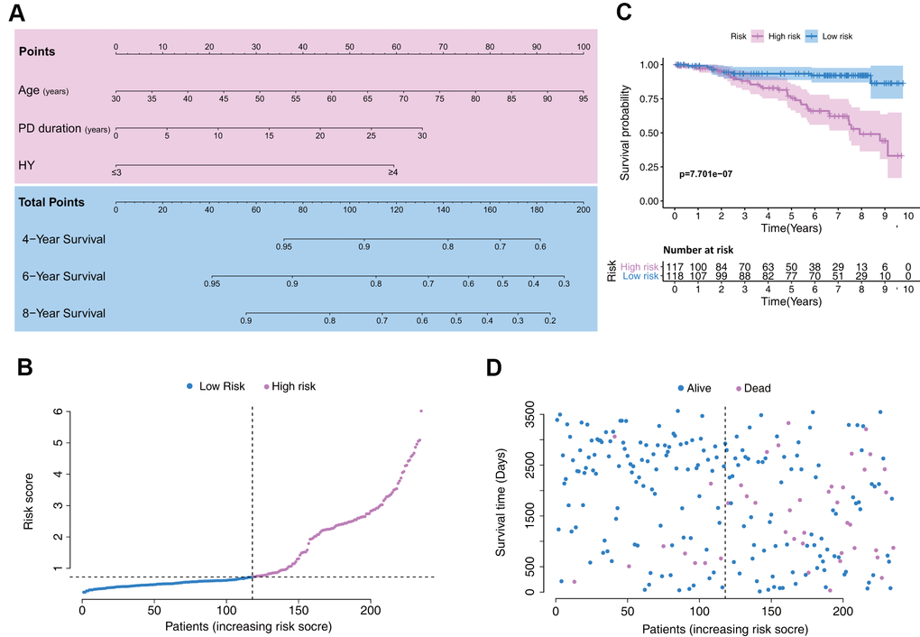 Establishment of a model with clinical indices to predict Parkinson’s disease survival. (A) A clinical feature model was used to develop a nomogram. (B) Distribution of the risk scores in the low- and high-risk groups. (C) Kaplan–Meier survival analysis between low- and high-risk groups. (D) Patient distribution in the low- and high-risk groups based on survival status.