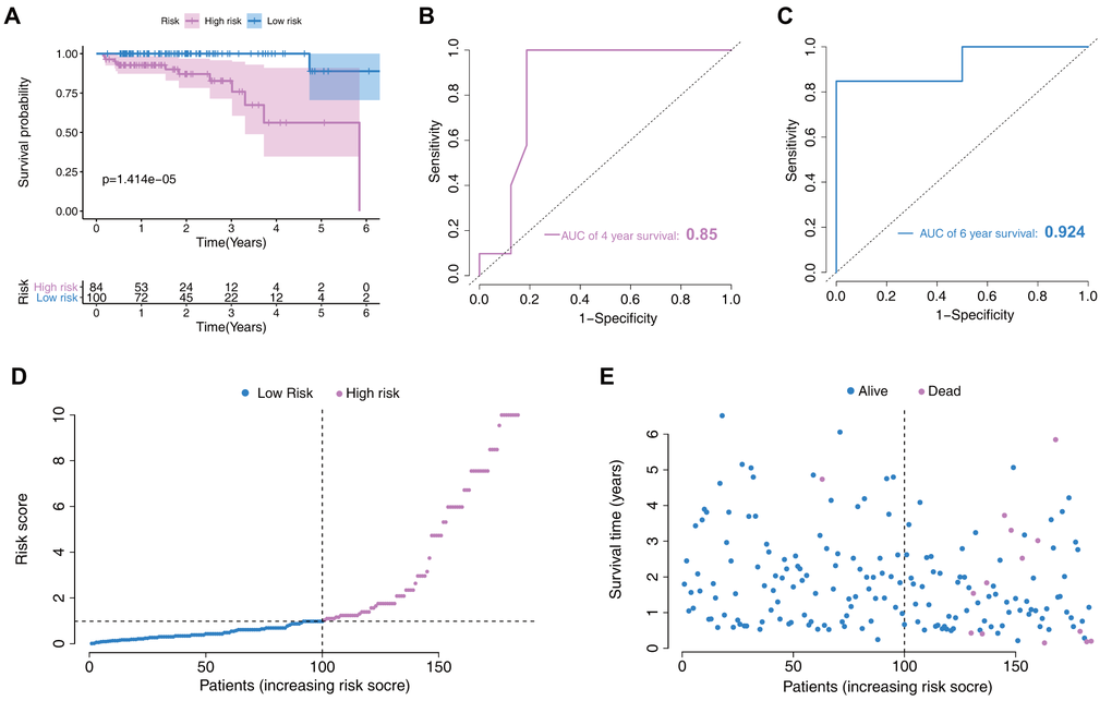 Nomogram verification in the validation set. (A) Kaplan–Meier survival analysis between the low- and high-risk groups. (B) Receiver operating characteristic (ROC) curves for 4-year prediction. (C) ROC curves for 6-year prediction. (D) Distribution of the risk scores in low- and high-risk groups. (E) Patient distribution in the low- and high-risk groups based on survival status.