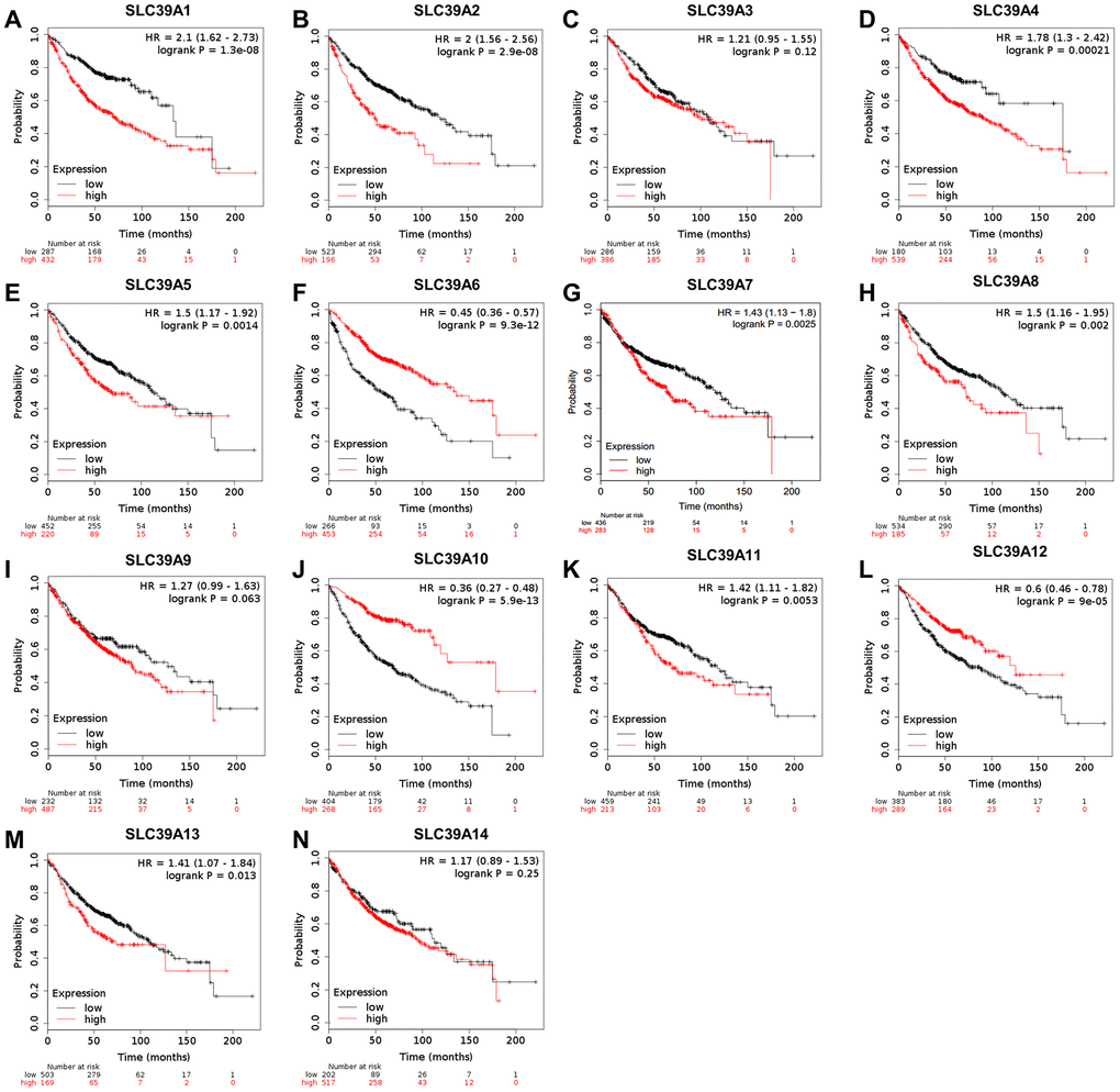 The prognostic values (OS) of SLC39A genes in patients with lung adenocarcinoma by using Kaplan-Meier plotter. SLC39A1 – SLC39A14 (A–N). OS, overall survival; SLC39A, solute carrier family 39.