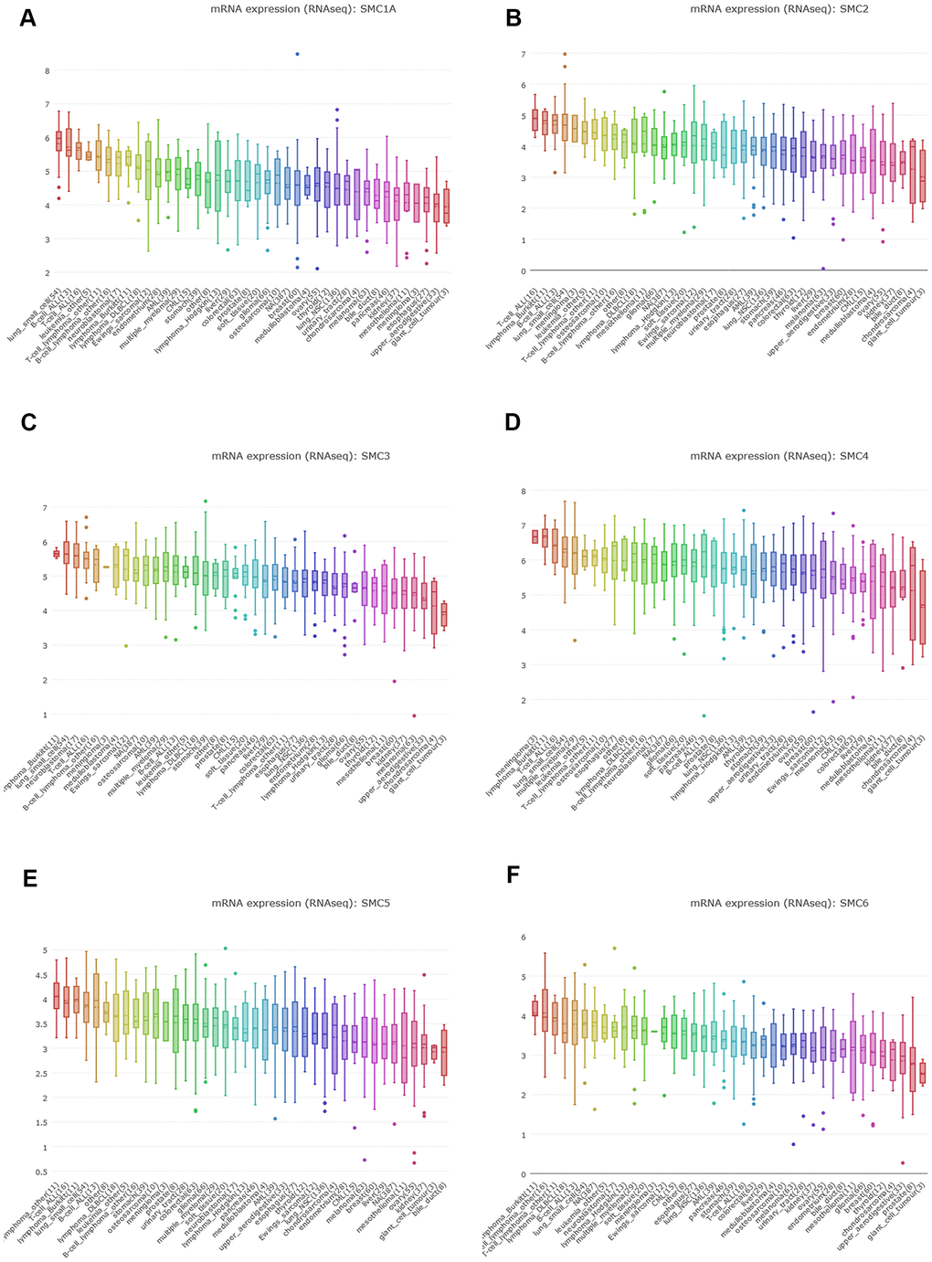 The Expression of SMCs Sarcoma Cell Lines (CCLE). (A) The expression of SMC1A in sarcoma cell lines, analyzing by CCLE. (B) The expression of SMC2 in sarcoma cell lines, analyzed by CCLE. (C) The expression of SMC3 in sarcoma cell lines, analyzed by CCLE. (D) The expression of SMC4 in sarcoma cell lines, analyzed by CCLE. (E) The expression of SMC5 in sarcoma cell lines, analyzed by CCLE. (F) The expression of SMC6 in sarcoma cell lines, analyzed by CCLE.