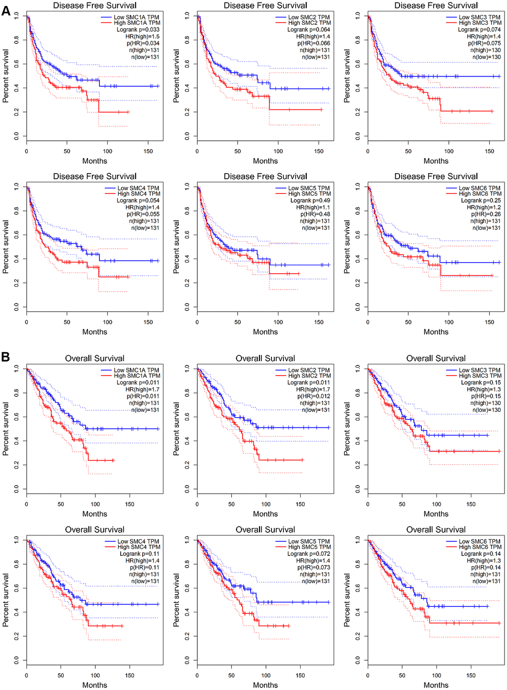 The Prognostic Value of mRNA Level of SMC Factors in Sarcoma Patients (GEPIA). (A) The prognostic value of mRNA level of SMC factors in disease-free survival (DFS) of sarcoma patients, (B) The prognostic value of mRNA level of SMC factors in over survival (OS) of sarcoma patients.