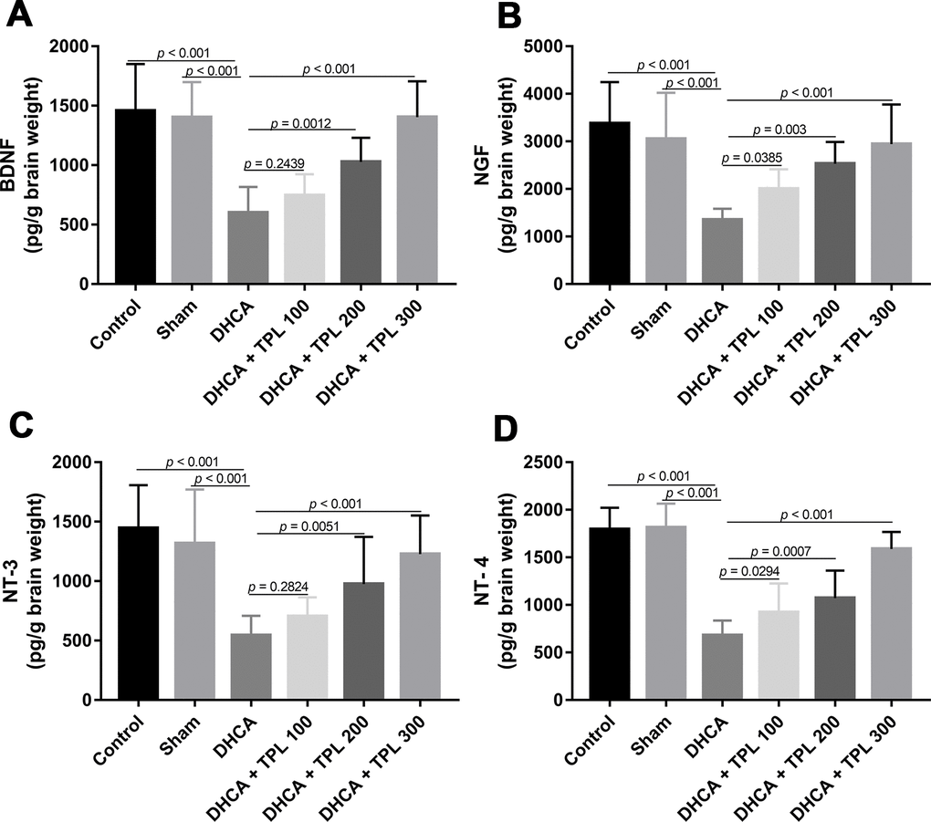 TPL increased brain neurotrophins in DHCA rats. On day 7 post operation, rats were euthanized and collected brain tissues to measure brain neurotrophins levels. The levels of brain BDNF (A), NGF (B), NT-3 (C) and NT-4 (D) were increased with TPL treatment after DHCA. Values were presented as x¯±s (n = 10). A difference with P 