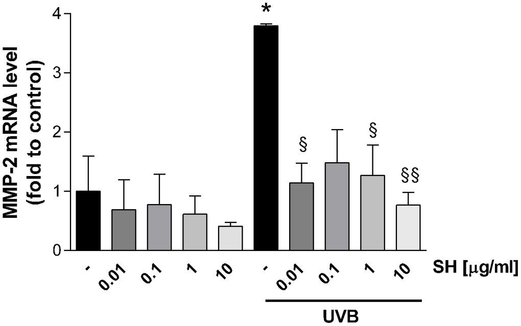 Effect of Salvia haenkei extract 0.01-0.1-1-10 μg/ml on MMP-2 mRNA levels in HaCaT cells exposed and not exposed to UVB radiation (30 KJ/m2). Results are normalized to GAPDH, expressed as ratio of treatment vs control not exposed to UVB, and are the mean ± SEM of 3 independent experiments. *p vs control-UVB; § p p vs control+UVB.