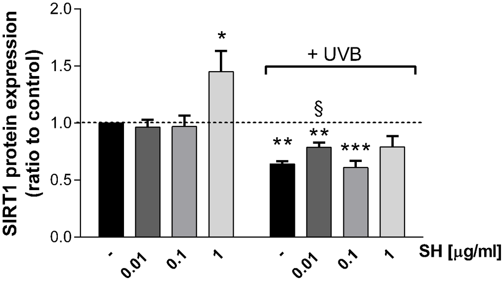 Effect of Salvia haenkei extract 0.01-0.1 and 1 μg/ml on Sirtuin-1 protein expression in HaCaT cells exposed and not exposed to UVB radiation (30 KJ/m2). Results are normalized to calnexin, expressed as a ratio of treatment vs control not exposed to UVB [+ UVB/ (ctr - UVB)], and are the mean ± SEM of 4 independent experiments. *p p p vs control-UVB; §p vs control+UVB.
