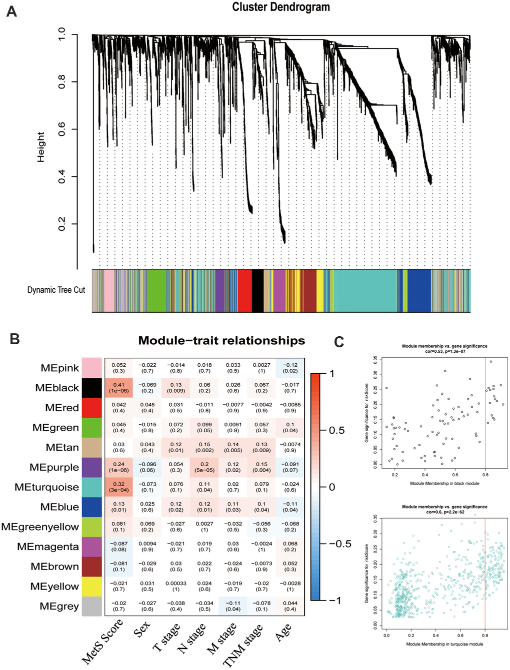 Weight gene co-expression network analysis (WGCNA) identified metabolic -related modules eigengenes. (A). The clustering dendrograms for the CRC groups. (B). Heatmap of module-trait relationships. (C). The relationship of module membership and gene expression.