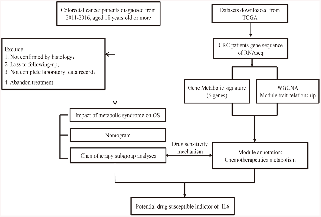 Flow chart of the experimental design and main process.