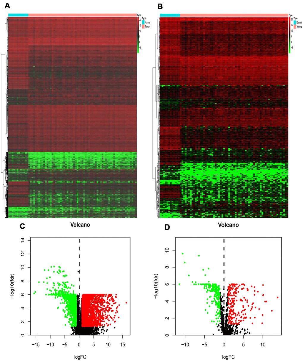 Differentially expressed genes and IRGs in RTK. (A) Heat-map of significant DEGs in RTK. The color from green to red represents the progression from low expression to high expression. (B) Heatmap of significant differentially expressed immune-related genes in RTK. Red represents higher expression while green represents lower expression. (C) Volcano plot of differentially expressed genes. The red dots in the plot represents up-regulated genes and green dots represents down-regulated genes with statistical significance. Black dots represent no DEGs. (D) Volcano plot of differentially expressed immune-related genes in RTK. Colored dots represent differentially expressed immune-related genes and black dots represent no differentially expressed immune-related genes. Abbreviations: GO, Gene Ontology. IRGs, immune-related genes. DEGs, differentially expressed genes.