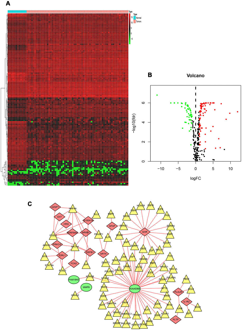 TF-based regulatory network. (A) Heat map of differentially expressed TFs. The green to red spectrum indicates low to high TF expression. (B) Volcano plot of TFs. The green dots represent down-regulated TFs, the red dots represent up-regulated TFs and the black dots represent TFs that were not significantly and differentially expressed. (C) Regulatory network of TFs and PIRGs; the green nodes represent PIRGs with hazard ratios of p 1 (p  0.4 and p 