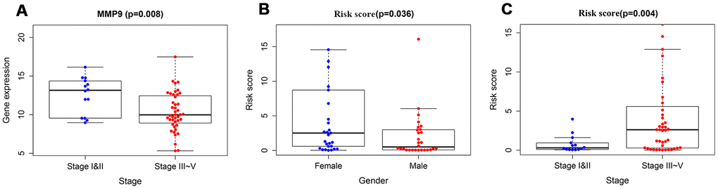 The relationships between immune-based prognostic model and clinical and demographic characteristics. (A) The relationships between the expression of MMP9 and stage. (B) The relationships between the risk scores and gender. (C) The relationships between the risk scores and stage.