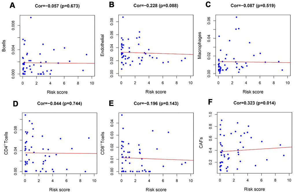 Analysis of the correlation between the risk score and tumor-infiltrating cells in the TARGET-RTK cohort. (A) B cells; (B) endothelial cells; (C) Macrophages. (D) CD4+ T cells. (E) CD8+ T cells. (F) CAFs. Abbreviation: CAFs, carcinoma-associated fibroblasts.