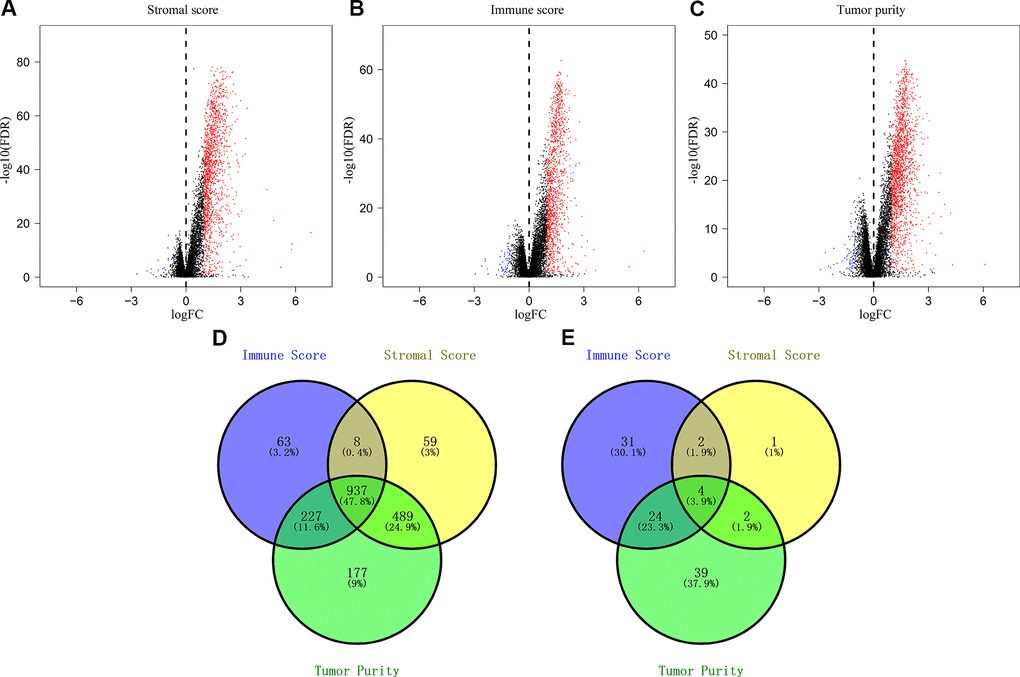 Identification of differentially expressed genes based on the immune scores, stromal scores, and tumor purity of CRC patients. (A) Volcano plots of the DEGs based on stromal scores. (B) Volcano plots of the DEGs based on immune scores. (C) Volcano plots of the DEGs based on tumor purity. (D) Venn diagram shows the numbers of upregulated genes in the immune score, stromal score and tumor purity groups as well as the upregulated genes that are common among the three groups. (E) Venn diagram shows the numbers of downregulated genes in immune score, stromal score and tumor purity groups as well as the downregulated genes that are common among the three groups.
