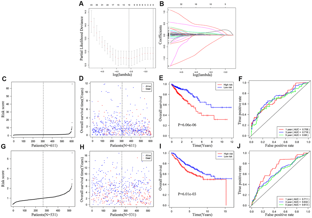 Construction and validation of the ten-IRG prognostic signature. (A) A plot of partial likelihood deviance of the LASSO coefficient profiles of differentially expressed IRGs. (B) A plot of the LASSO coefficient profiles for the differentially expressed IRGs associated with overall survival of CRC. (C) Distribution of risk scores for the CRC patients in the TCGA cohort based on the ten-IRG prognostic signature. (D) The survival status of 611 CRC patients in the TCGA cohort belonging to the high- and low-risk groups based on the ten-IRG prognostic signature. (E) Kaplan–Meier survival curves show overall survival of high and low-risk CRC patients in the TCGA cohort based on the ten-IRG prognostic signature. (F) Time-dependent ROC curves show the accuracy of overall survival prediction for the TCGA-CRC cohort based on the ten-IRG prognostic signature. (G) Distribution of risk scores for the GSE39582 cohort based on the ten-IRG prognostic signature. (H) The survival status of 531 CRC patients in the GSE3958 cohort belonging to the high- and low-risk groups based on the ten-IRG prognostic signature. (I) Kaplan–Meier survival curve analysis shows the overall survival of high and low-risk CRC patients in the GSE3958 cohort based on the ten-IRG prognostic signature. (J) Time-dependent ROC curves show the accuracy of overall survival prediction for the GSE3958 cohort based on the ten-IRG prognostic signature.