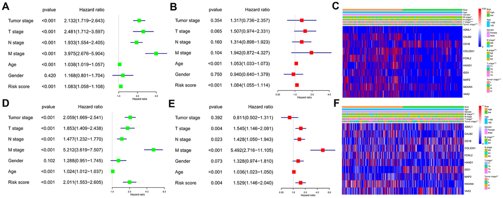 Association of the ten-IRG prognostic signature with overall survival of CRC patients. (A) Univariate COX regression analysis shows the clinicopathological parameters associated with the overall survival of CRC patients in the TCGA cohort. (B) Multivariate COX regression analysis shows clinicopathological parameters associated with the overall survival of CRC patients in the TCGA cohort. (C) Correlation analysis results show the relationship between the ten-IRG prognostic signature and the clinicopathological parameters in the TCGA-CRC cohort. (D) Univariate COX regression analysis shows the clinicopathological parameters associated with the overall survival of CRC patients in the GSE39582 cohort. (E) Multivariate COX regression analysis shows clinicopathological parameters associated with the overall survival of CRC patients in the GSE39582 cohort. (F) Correlation analysis results show the relationship between the ten-IRG prognostic signature and the clinicopathological parameters in the GSE39582-CRC cohort.