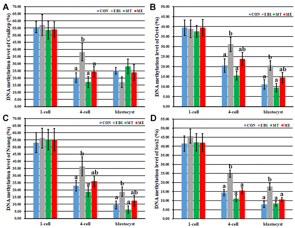 Effect of melatonin on DNA methylation levels of genome and pluripotent genes in EB1-exposed embryos. (A–D) DNA methylation levels of genome (CenRep), Oct4, Nanog and Sox2, respectively. CON, the control group. EB1, embryos treated with EB1. MT, embryos treated with melatonin. ME, embryos treated with both melatonin and EB1. a-bValues for a given group in columns with different superscripts differ significantly (p 