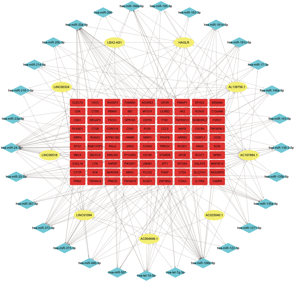 ceRNA network of the 9 lncRNAs, 29 miRNAs, and 90 mRNAs. Note: Blue diamond represents lncRNAs, yellow round denotes miRNAs, and red square represents mRNAs.