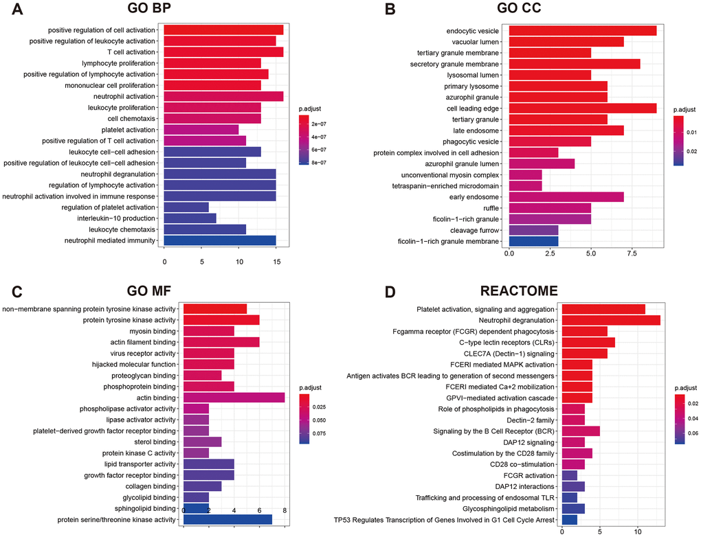 GO functional annotation and Reactome pathway enrichment analysis for the 90 mRNAs. (A) Top 20 enriched biological process; (B) Top 20 enriched cellular component; (C) Top 20 enriched molecular function; (D) Top 20 enriched Reactome pathway.