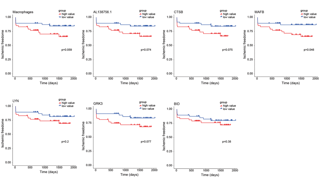 Kaplan-Meier survival curves of 7 factors in the macrophage related ceRNA subnetwork. The P-value was calculated by the log-rank test.