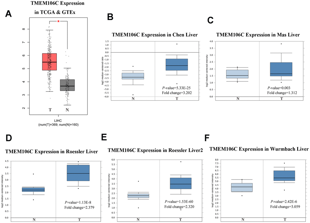 TMEM106C transcription in tumor tissues HCC (GEPIA and Oncomine). (A) Boxplot showing TMEM106C mRNA levels in TCGA and GTEx from GEPIA. *P B–F) Boxplot showing TMEM106C mRNA levels in Chen Liver, MasLiver, RoesslerLiver, RoesslerLiver2, and Wurmbach Liver datasets from Oncomine. (T=tumor, N=normal).