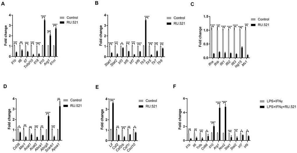 Inflammatory signaling factors TLRs, STAT/IRF as well as IFNs were verified by RT-qPCR. (A–E) RAW264.7 cells were treated for 12 h with RU.521 (2 μg/mL) or with DMSO as vehicle control. (F) RAW264.7 macrophages were pretreated with RU.521 for 12 h and then incubated for another 6 h with LPS (10 ng/mL) plus IFNγ (20 ng/mL) that polarizes macrophages to M1. Relative expression by RT-qPCR analysis. * P P P P 