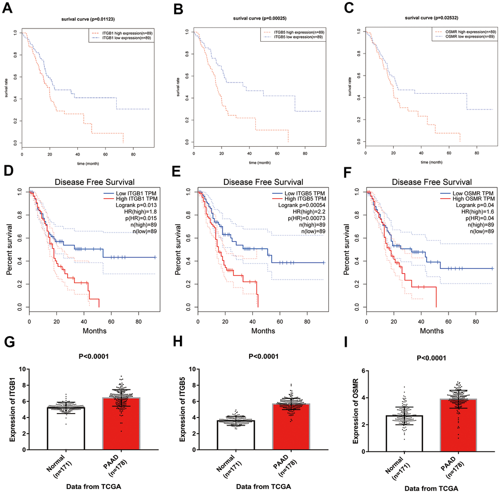 Identification of key genes in PAAD. (A–C) Overall survival curves of three key genes in PAAD. (D–F) Disease free survival analyses of three key genes in PAAD. (G–I) Expression levels of ITGB1, ITGB5, and OSMR in PAAD tissues and normal tissue samples. PAAD, pancreatic adenocarcinoma.