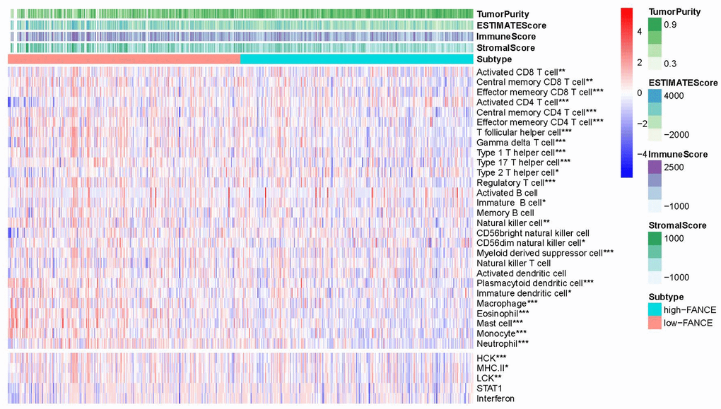 Correlation between the level of FANCE expression with lymphocyte abundance in HNSC. FANCE expression was significantly associated with an abundance of Act CD8, Tcm CD8, Tem CD8, Act CD4, Tcm CD4, Tem CD4, Tfh, Tgd, Th1, Th17, Th2, Treg, Imm B, NK, CD56dim, MDSCs, pDCs, iDCs, MHC II, LCK, macrophages, eosinophils, Mast, monocytes, and neutrophils (all *P