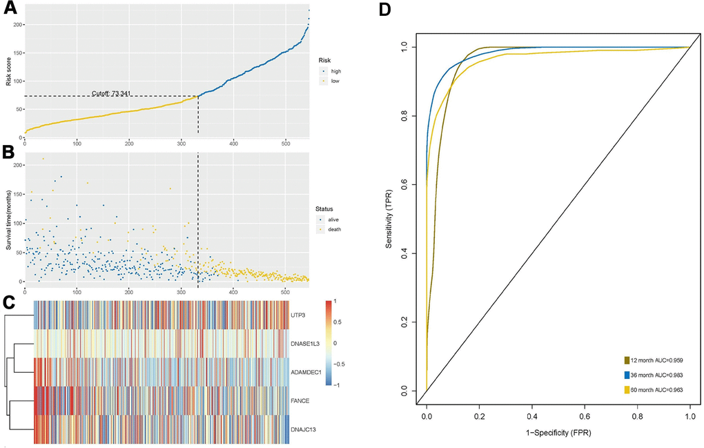 Construction and analysis of risk score through random forest model. (A) According to the optimal cutoff value of 73.341, patients were divided into high-risk and low-risk groups. (B) Most of the patients with long survival time are concentrated in the low-risk group (blue dots), while the high-risk group patients have significantly reduced survival time (yellow dots), indicating that this model can predict the prognosis well. (C) Cluster analysis of the five genes. Highly expressed UTP3 was significantly associated with high risk, while up-regulated of DNASE1L3, AMAMDEC1, FANCE, and DNAJC13 were associated with low-risk patients. (D) Receiver-operating characteristic (ROC) curve showed predictive ability of five-gene model, and the area under the curve (AUC) of the 1-, 3- and 5-year OS were 0.959, 0.983 and 0.963, respectively.