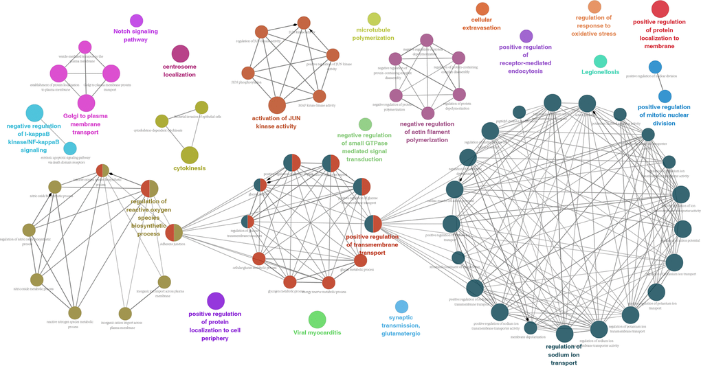 Potential biological functions of 173 OS-GCAS events in GC.