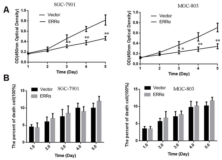 The cell proliferation and death were measured by CCK-8 (A) and Trypan Blue exclusion assays (B). (A) The cell viability were measured using CCK-8 assay. (B) The death cell population was analyzed using Trypan Blue dye exclusion assay. Data are presented as the mean ± SD. **p 