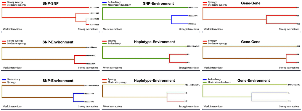 Optimal interactions affecting dyslipidemia shown in a dendrogram. Elements that interact strongly with each other appear close together in the leaves of the tree, while elements that interact weakly appear far from each other.