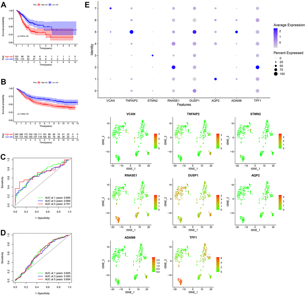 Generation, evaluation and validation of a prognostic risk scoring signature. (A) Kaplan-Meier analysis between the low-risk group and the high-risk group in the TCGA cohort. (B) Kaplan-Meier analysis between the low-risk group and the high-risk group in the GSE84437 dataset. (C) In the TCGA cohort, the areas under the ROC curves for predicting 1-year, 3-year and 5-year OS. (D) In the GSE84437 dataset, the areas under the ROC curves for predicting 1-year, 3-year and 5-year OS. (E) Expression levels of eight GDRGs in eight clusters. OS: overall survival, TCGA: The Cancer Genome Atlas, ROC: receiver operating characteristic, GDRGs: gastric cancer differentiation-related genes.