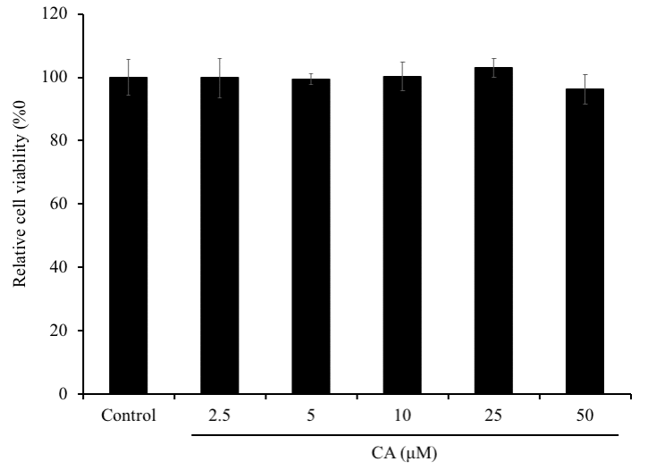 Effect of CA on SH-SY5Y cells viability. SH-SY5Y cells were seeded onto 96-well plate at a density of 2×105 cells/well. After overnight incubation, cells were treated with 5, 50 or 100 μM of CA for 72 h and the cell viability was evaluated using MTT assay. The experiment was repeated thrice. The bars signify relative viability as compared to the control. Data is represented as mean ± SD.