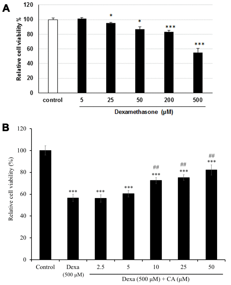 Effect on cell viability on SH-SY5Y cells after treatment with (A) dexamethasone (Dexa) and (B) Dexa co-treated with CA. SH-SY5Y cells were treated with CA or 500 μM Dexa for 72 h. Each bar represents the mean ± SD. ***: p 