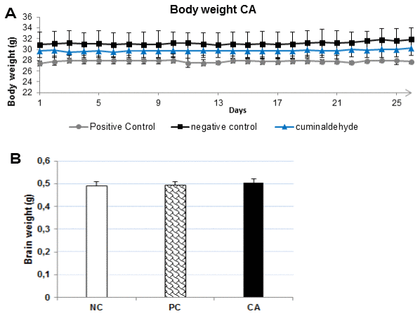(A) Effects of CA (25 mg/kg) on body weight during the 30 days experimental period. All mice were fed a normal diet. The body weight was measured every day. Each point presents the values from that group for that day. The values are represented as mean ± standard deviation. (B) Brain weight after 30 days of treatment with CA. The brain was dissected out, washed with ice-cold PBS and weighed. All the values are expressed as mean ± SD. NC: negative control (aged water-treated group); PC: positive control (young water-treated group); CA: Cuminaldehyde treated group.