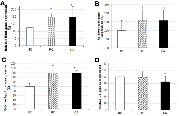 Effect of CA on mRNA expressions of Bdnf (A), Icam (B), ApoE (C) and IL-6 (D) in C57BL/6J mice brain. The mRNA expression of all genes were normalized to GAPDH mRNA expression and expressed with respect to the negative control (aged water-treated group). C57BL/6J mice were administrated with CA for 30 days. The control group was administered with distilled water. Each bar represents the mean ± SD. * P 