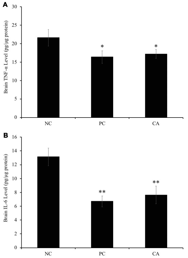 Effect of CA on levels of (A) tumor necrosis factor-α (TNF-α) and (B) interleukin 6 (IL-6) in C57BL/6J mice brain. C57BL/6J mice were administrated with CA for 30 days. The control group was administered with distilled water. Each bar represents the mean ± SD. * P 