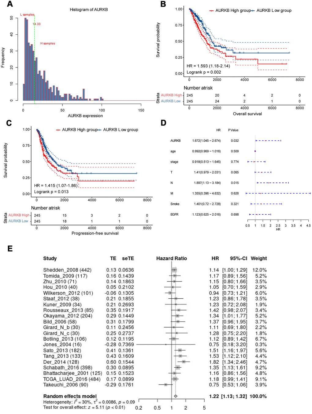 AURKB could independently predict the survival of lung adenocarcinoma. (A) AURKB expression distribution in all tumor samples; (B) High AURKB expression led to worse overall survival in the TCGA-LUAD cohort (HR[95%CI]: 1.593[1.18-2.14], p = 0.002). (C) High AURKB expression correlated with poor progression-free survival in the TCGA-LUAD cohort (HR[95%CI]: 1.415[1.07-1.86], p = 0.013). (D) Multivariate analysis showed AURKB and N stage were independent prognosis factor in the TCGA-LUAD cohort (HR[95%CI]: 1.672[1.045-2.674], 1.897[1.13-3.184], respectively). (E) Meta-analysis of AURKB expression in the prediction of overall survival of lung adenocarcinoma patients from different datasets by Lung Cancer Explorer (LCE).