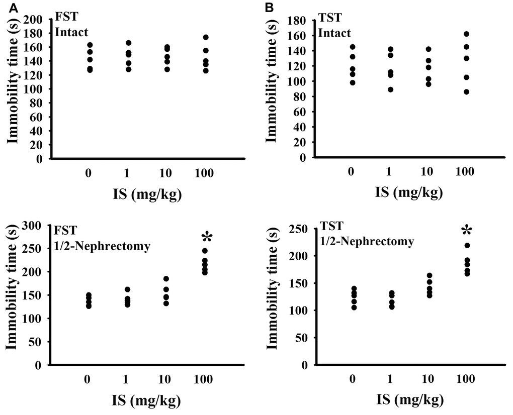 Indoxyl sulfate caused alterations in unilateral nephrectomized mice. The intact and unilateral nephrectomized (1/2-Nephrectomy) mice were intraperitoneally injected with various doses of indoxyl sulfate (IS) for 7 weeks. A FST was conducted for a period of 5 minutes and the duration of immobility was recorded (A). A TST was performed for a period of 6 minutes and the duration of immobility was recorded (B). *p 