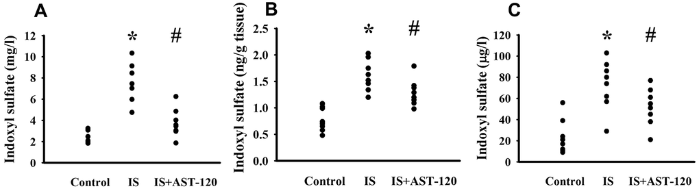 Peripheral indoxyl sulfate treatment increased its blood and CNS distribution. Unilateral nephrectomized mice were intraperitoneally injected with indoxyl sulfate (IS, 0 and 100 mg/kg) and the indoxyl sulfate-injected mice were orally given with AST-120 (0 and 400 mg/kg) for 7 weeks. The blood (A), prefrontal cortical tissue (B), and CSF (C) were isolated and subjected to the measurement of indoxyl sulfate. *p 