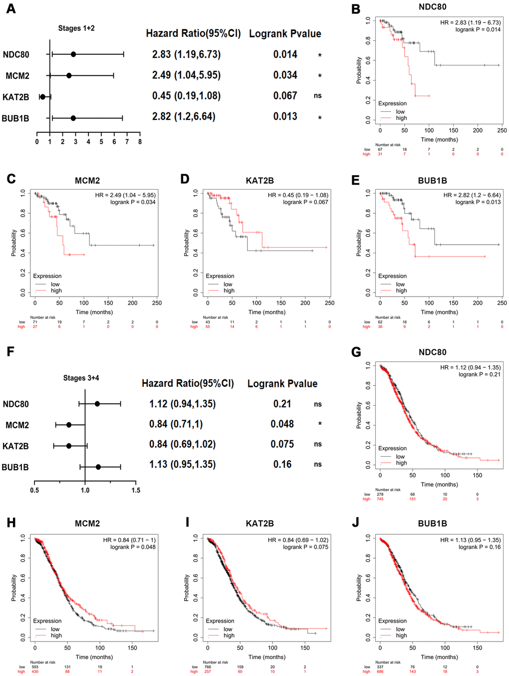 Overall survival impact of key genes on patients with OSC at different stages. (A) Survival prognosis forest map related to key genes at early stages (stages I+II) in OSC patients. Each point in the forest plot represents the Hazard ratio (HR) of the gene, and the lines on both sides of the point represent the 95% confidence interval (95%CI). Survival curves were constructed by the Kaplan-Meier plotter based on the low and high expression of the key genes in OSC patients, including (B) NDC80, (C) MCM2, (D) KAT2B and (E) BUB1B. (F) Survival prognosis forest map related to key genes at advanced stages (stages III+IV) in OSC patients. Kaplan-Meier overall survival analysis for OSC patients with the expression of key genes, covering (G) NDC80, (H) MCM2, (I) KAT2B and (J) BUB1B. Logrank p-value