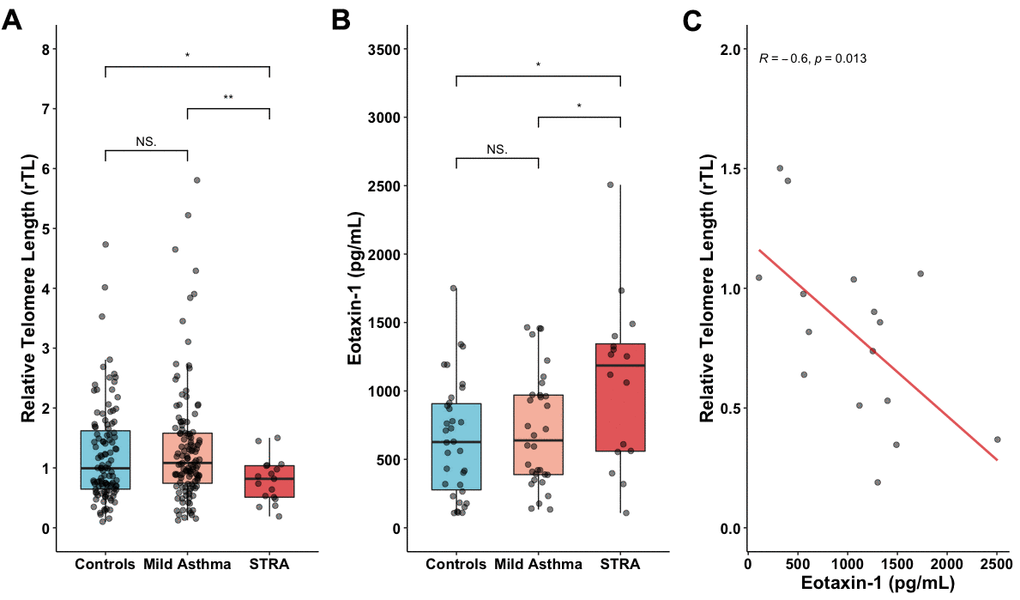 Shorter telomeres in STRA children. (A) Relative telomere length (rTL) measured in whole blood from HC (n=126), MA (n=124) and STRA (n=17). (B) Augmented levels of eotaxin-1 in STRA children (n=16) compared to HC (n=24) and MA (n=24). (C) Eotaxin-1 is inversely correlated with rTL only in the STRA group. Data presented as [median; IQR (25-75)]. Kruskal-Wallis test followed by Dunn's multiple comparisons and Pearson correlation test. Significant differences were considered when pp
