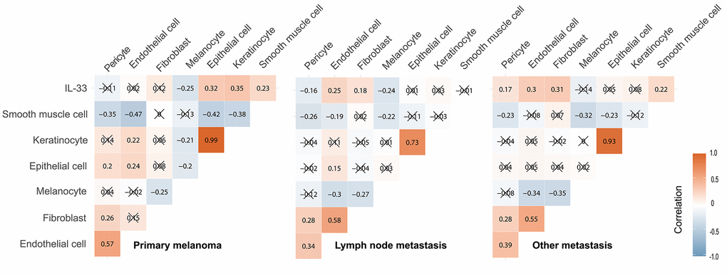 Correlation between the IL-33 expression level and the abundance of potential cellular sources. The Pearson correlation coefficients were shown in squares. Cross symbol means that the correlation is statistically insignificant.