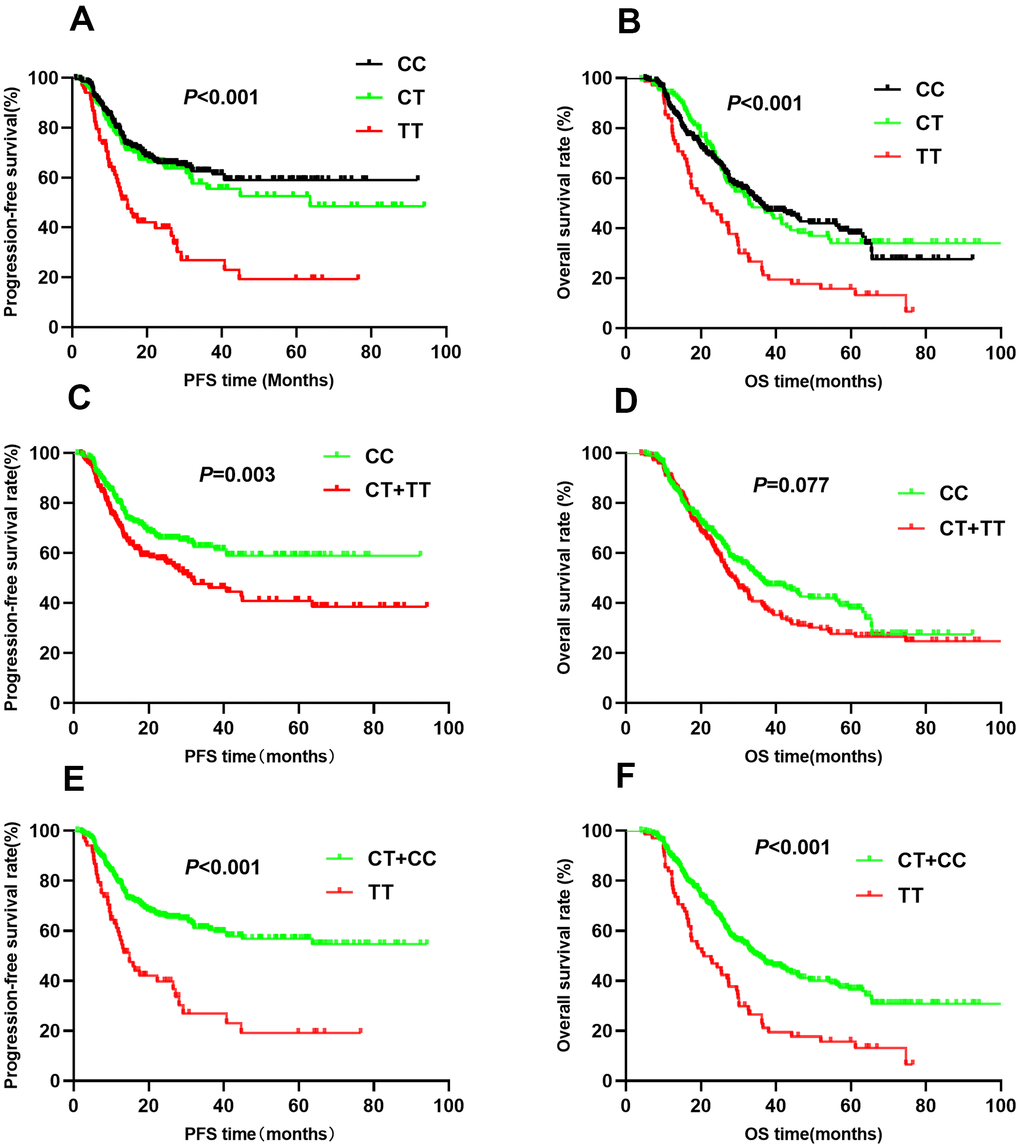 Kaplan-Meier survival curve analysis showing progression-free survival ((A) CC vs CT vs TT, (C) CT+TT vs CC, (E) TT vs CT+CC) and overall survival ((B) CC vs CT vs TT, (D) CT+TT vs CC, (F) TT vs CT+CC) of NSCLC patients with HIF1-alpha rs11549465.