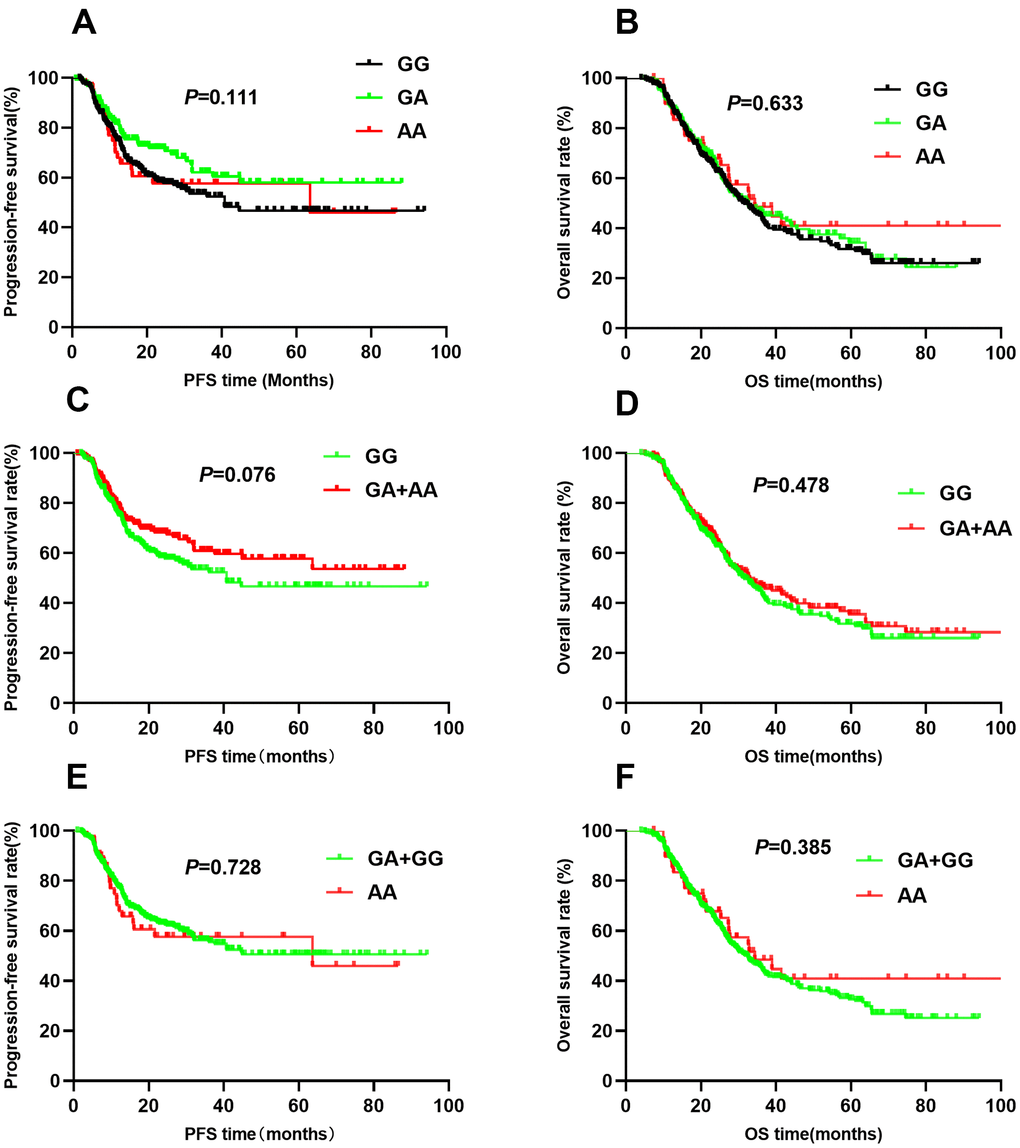 Kaplan-Meier survival curve analysis showing progression-free survival ((A) GG vs GA vs AA, (C) GA+AA vs GG, (E) AA vs GA+GG) and overall survival (B) GG vs GA vs AA, (D) GA+AA vs GG, (F) AA vs GA+GG) of NSCLC patients with HIF1-alpha rs11549467.